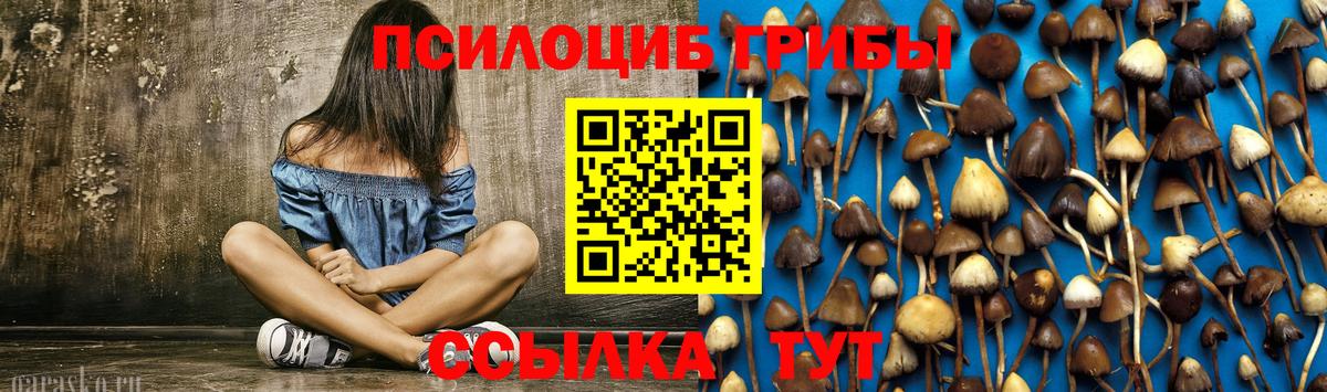 Псилоцибиновые грибы Magic Shrooms Чусовой